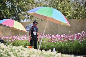 BIB: 
                            <button type="button" onclick="openModal(27805238)" class="btn btn-primary btn-sm float-right btn-popup" data-toggle="modal" data-target=".modal-high-quality">
                        <i class="fas fa-shopping-cart"></i> Add to Cart
                    </button>
                                            <button type="button" onclick="isThisMe(27805238, true)" class="btn btn-success btn-sm float-right btn-popup btn-isme hidden" data-toggle="tooltip" data-placement="bottom" title="นี่คือรูปของคุณใช่ไหม คลิกที่นี่เพื่อเอาเข้าอัลบั้ม">
                        <i class="fas fa-plus"></i> Add to album
                    </button>
                    <button type="button" onclick="isThisMe(27805238, false)" class="btn btn-warning btn-sm float-right btn-popup btn-isnotme hidden">
                        <i class="fas fa-ban"></i> Remove from album
                    </button>